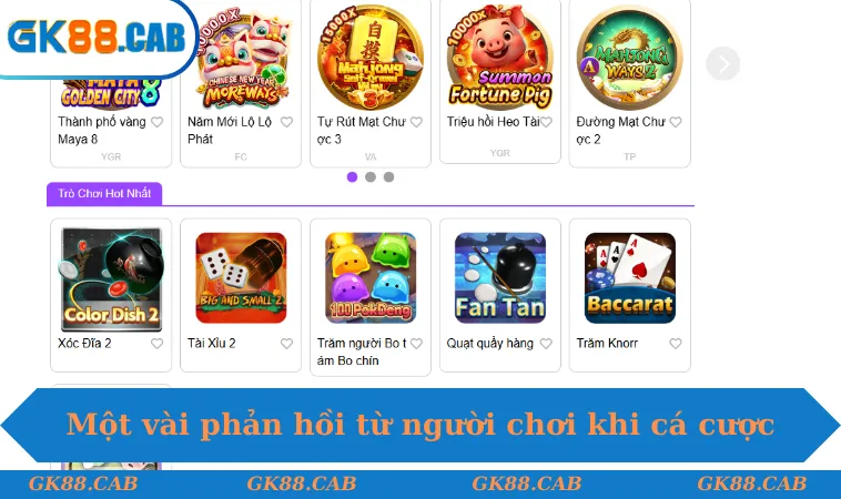 Một vài phản hồi từ người chơi khi tham gia cá cược